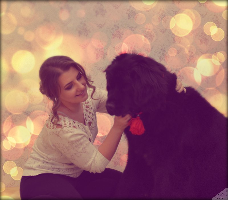 Фотография № 219482