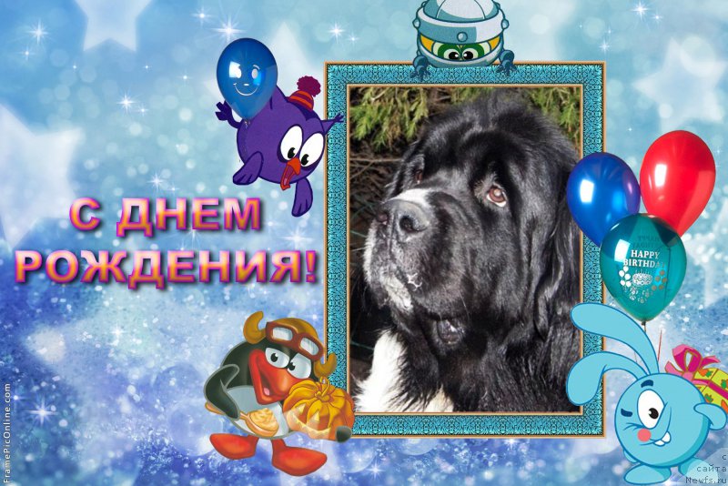 Фотография № 219503