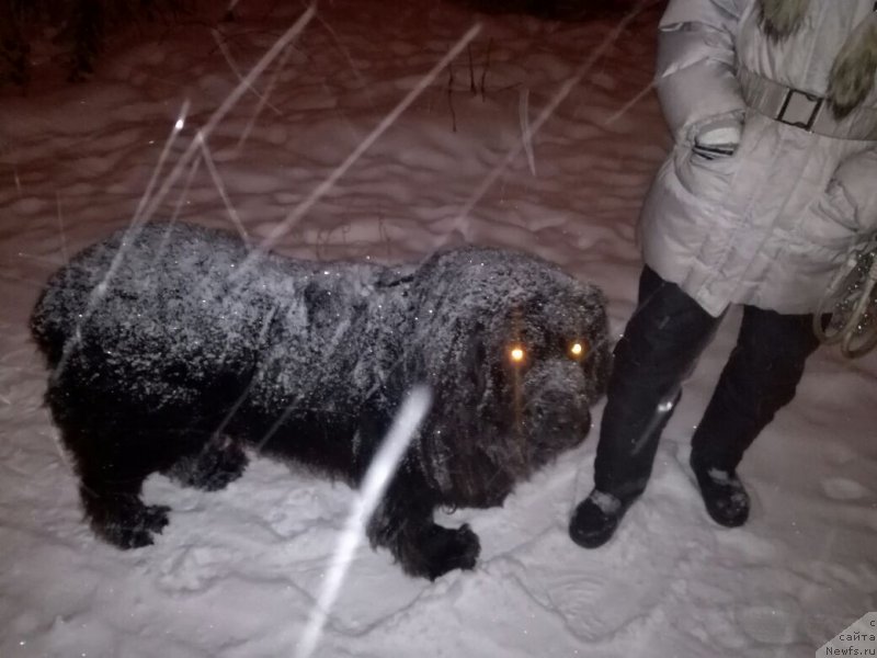 Фотография № 219559