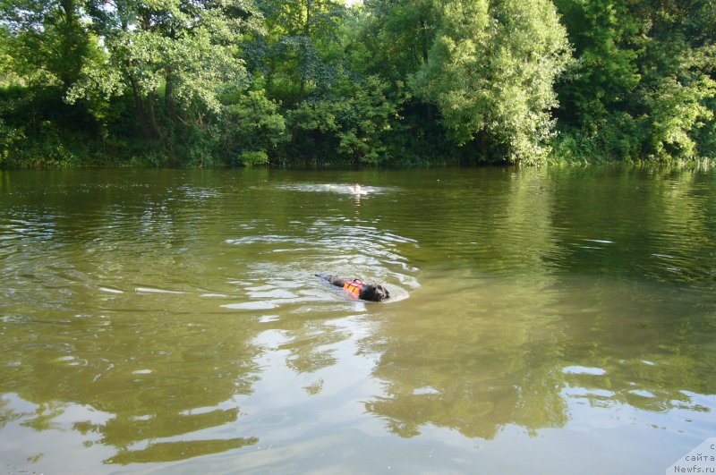 Фото: Vera Goncharova (Вера Гончарова)