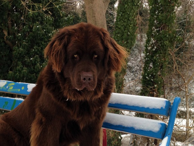 Фотография № 219588