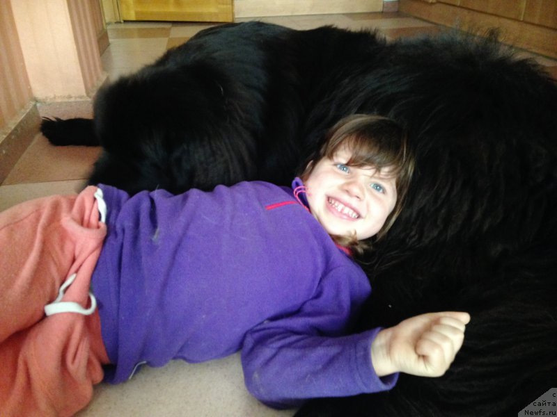 Фотография № 219590