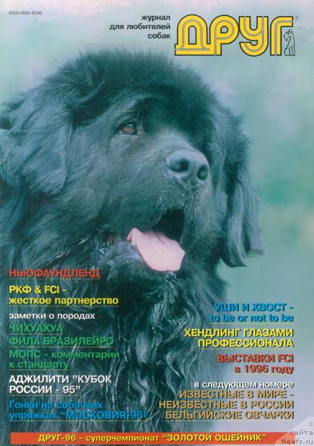 Фото: ньюфаундленд Hyenk Artli (Хэнк Артли)