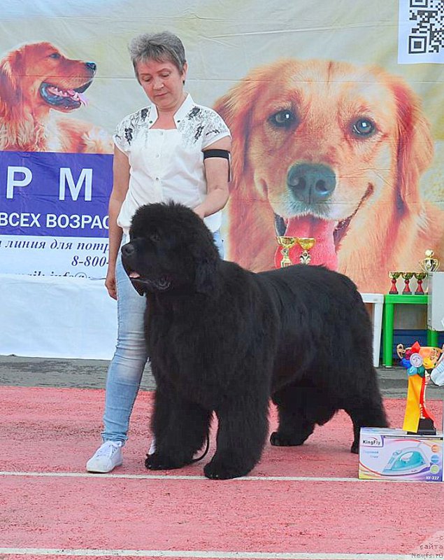 Фотография № 219606