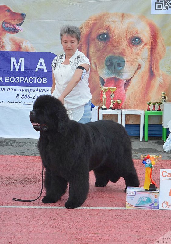 Фотография № 219607