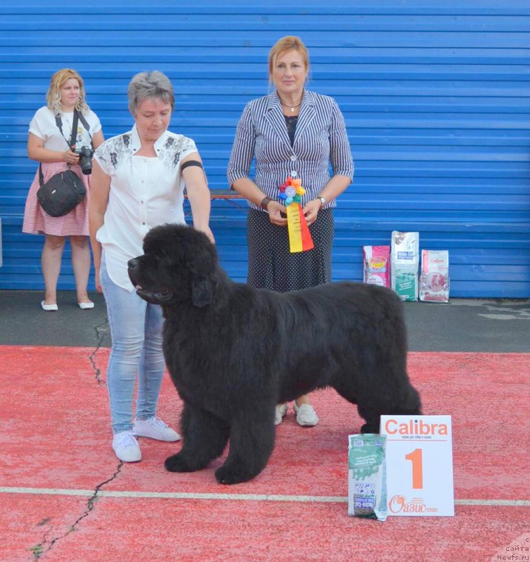 Фотография № 219610