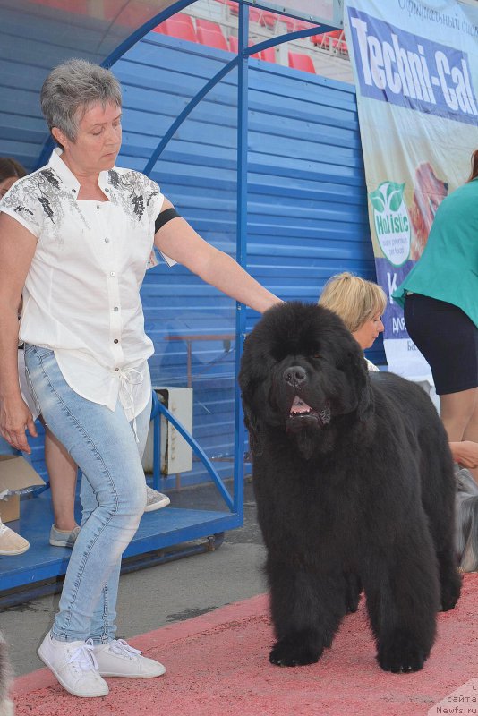 Фотография № 219611