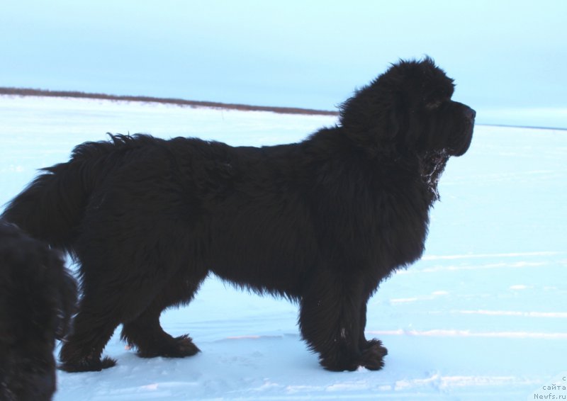 Фотография № 219642