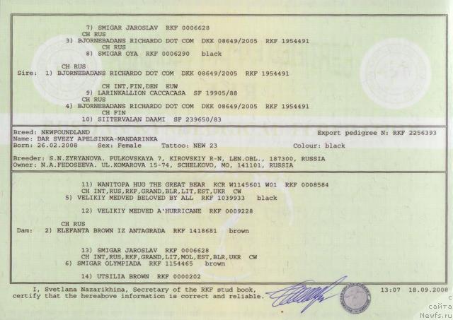 Фотография № 21965