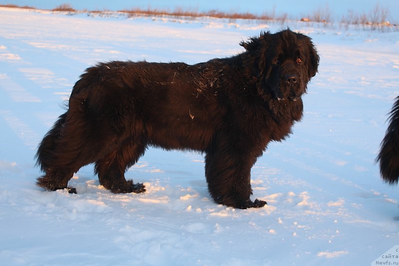 Фотография № 219651