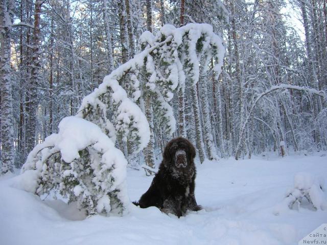 Фотография № 21975