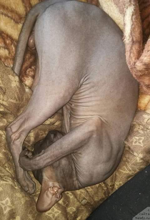 Фотография № 219758