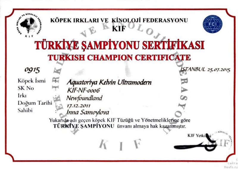 Фото: ньюфаундленд Aquatoria Kelvin Ultramodern (Акватория Келвин Ультрамодерн)