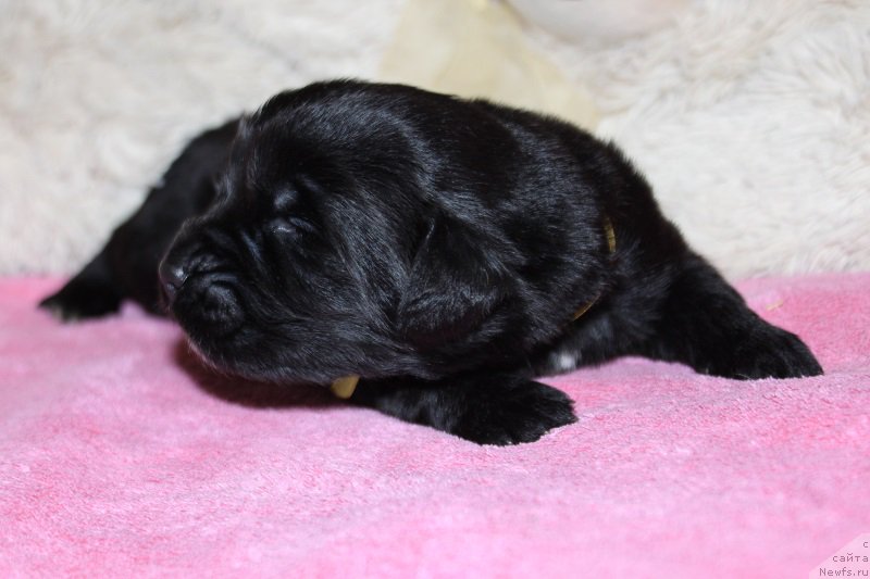 Фотография № 219823