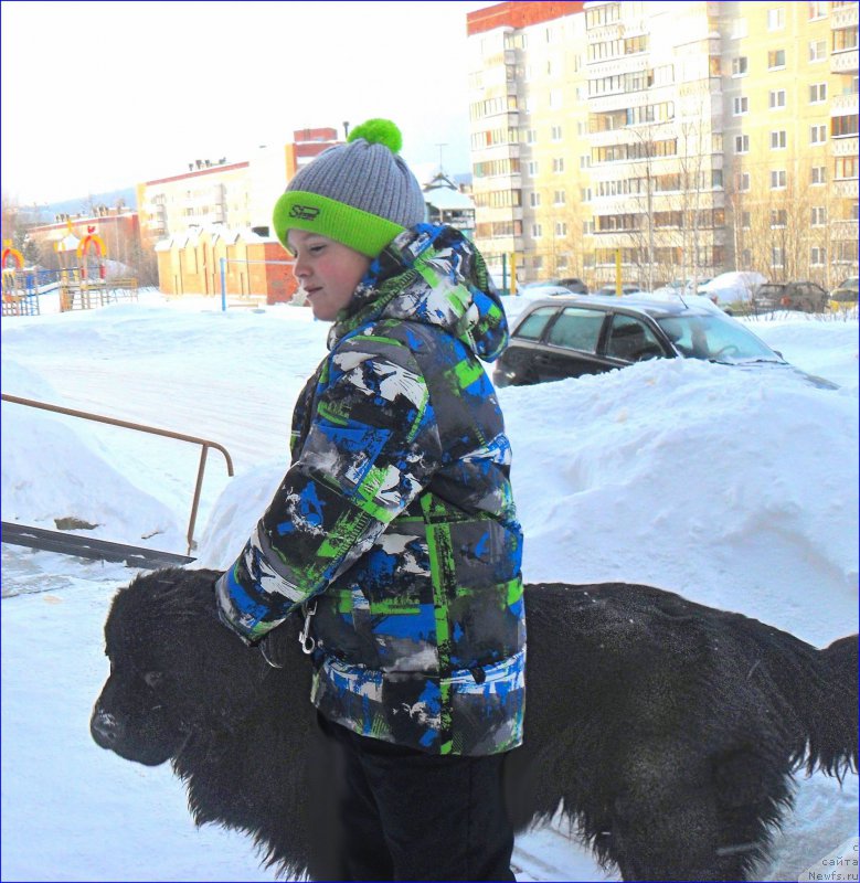 Фотография № 219834