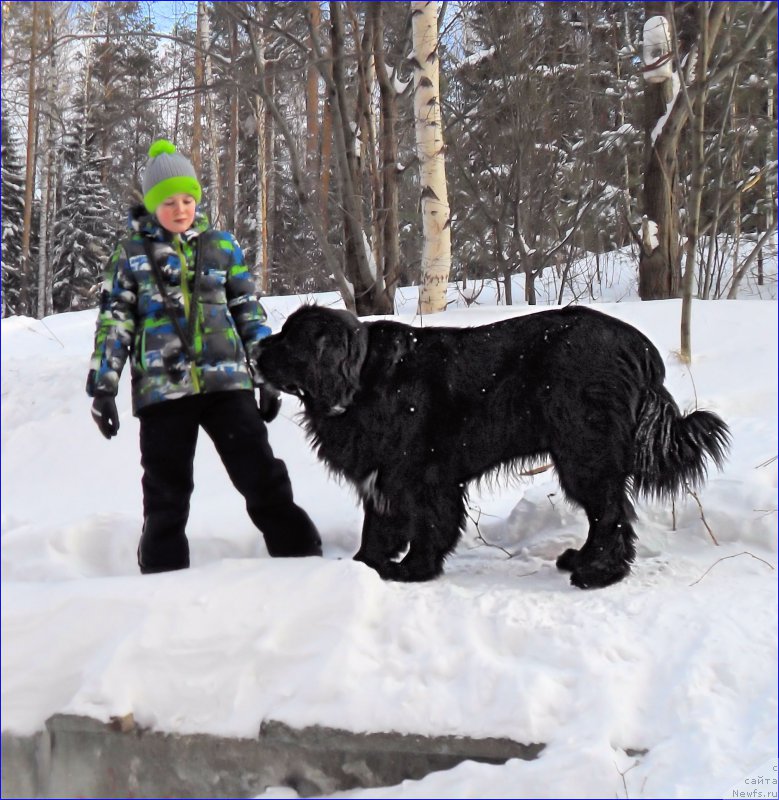 Фотография № 219836