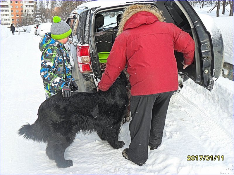 Фотография № 219842