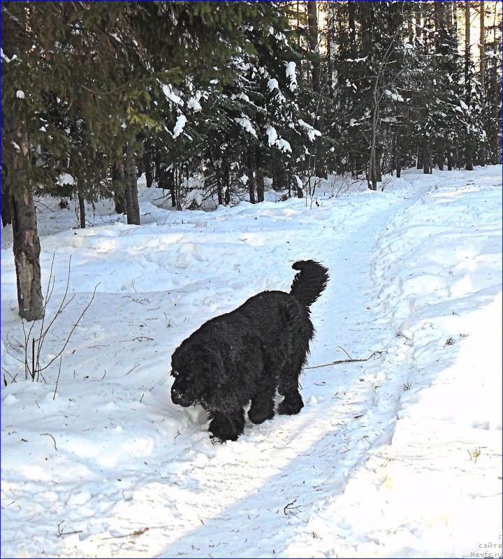 Фотография № 219844