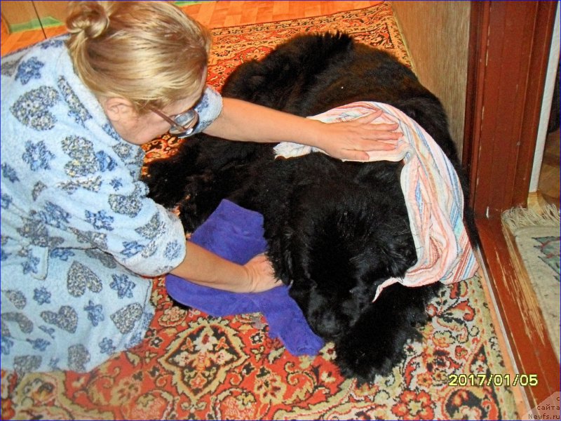 Фотография № 219846