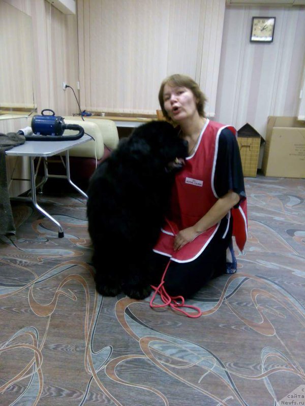 Фотография № 219992