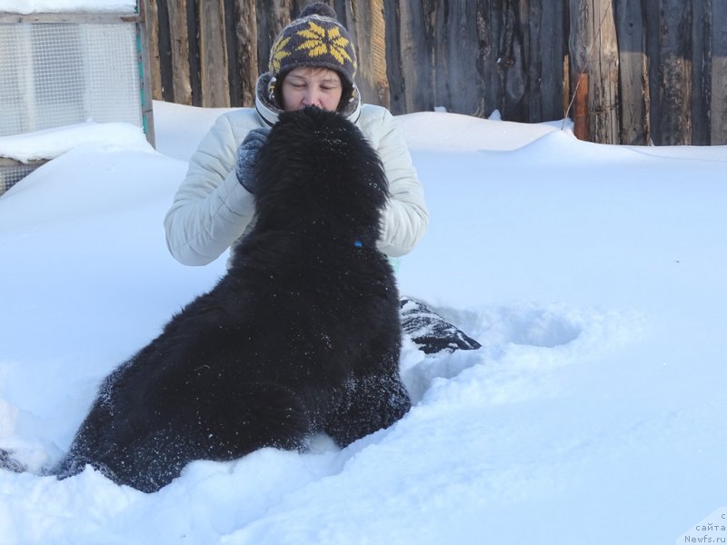 Фотография № 219993