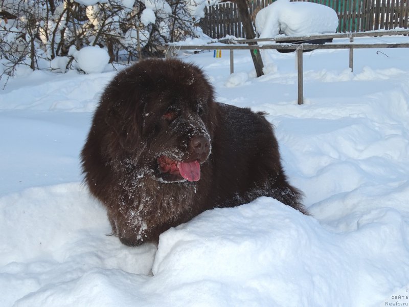 Фотография № 220002