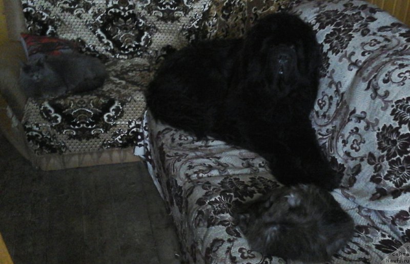 Фотография № 220013