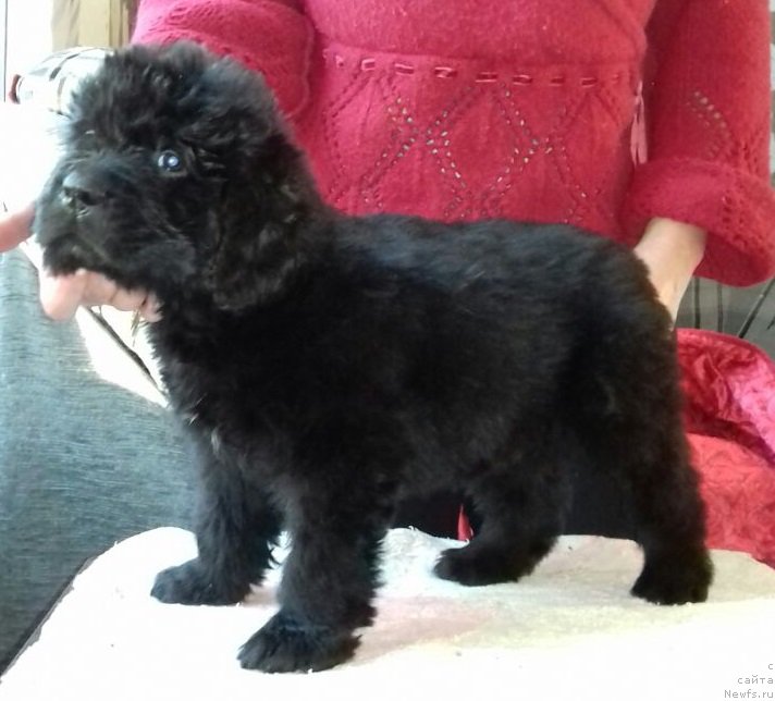 Фотография № 220014