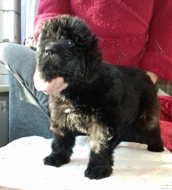 Фотография № 220016