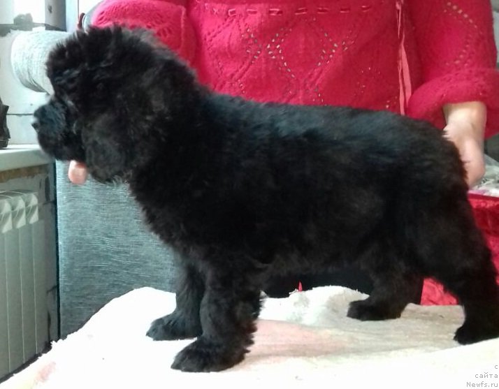 Фотография № 220017