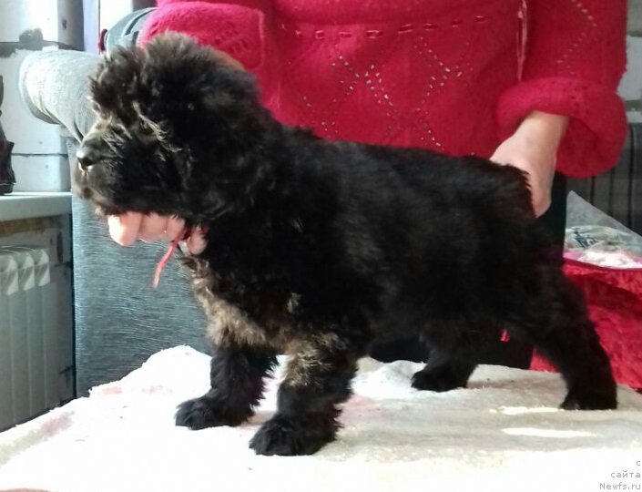 Фотография № 220020