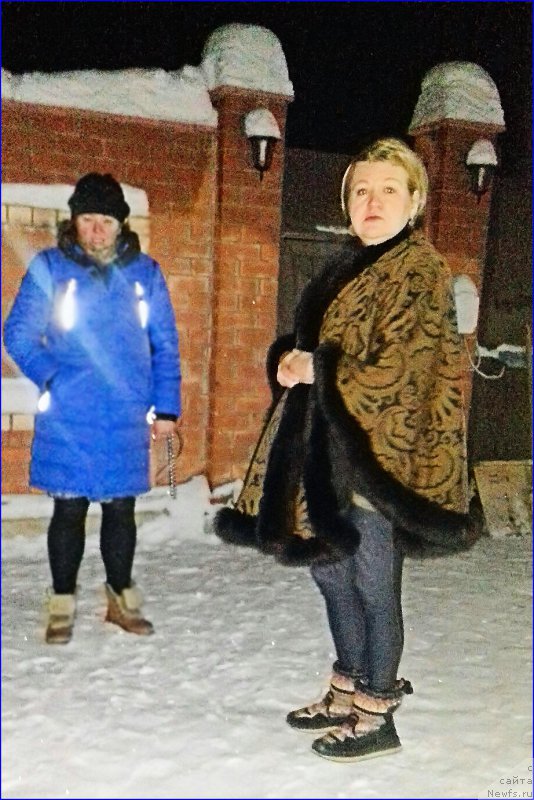 Фото: ньюфаундленд Akvatoriya Kelvin CHerchill' (Акватория Келвин Черчилль)