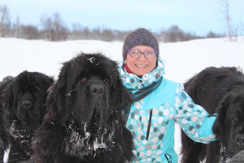 Фото: ньюфаундленд Beguschaya po Volnam Zero Kool (Бегущая по Волнам Зеро Коол), Elena Kuz'mina (Елена Кузьмина)