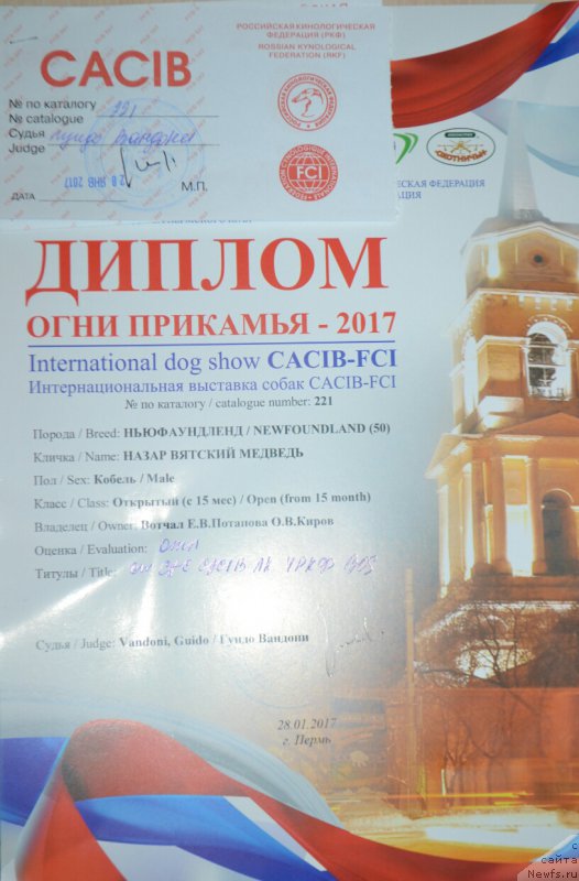 Фото: ньюфаундленд Nazar Vyatskiy Medved (Назар Вятский Медведь)