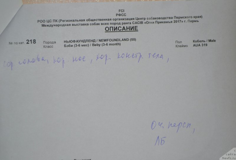 Фото: Elena Votchal (Елена Вотчал)