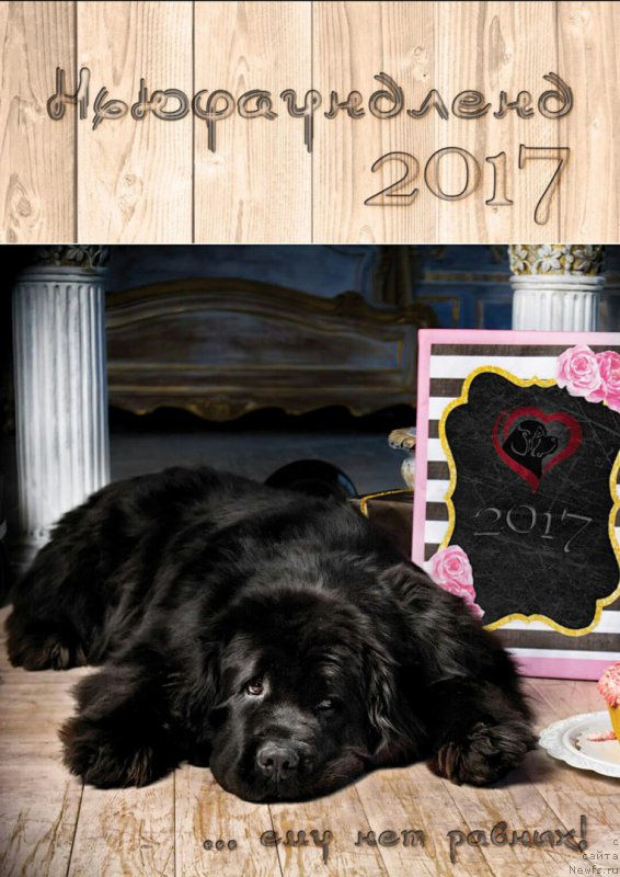 Фотография № 220104