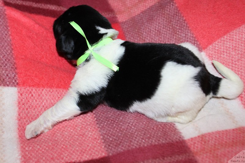 Фотография № 220134