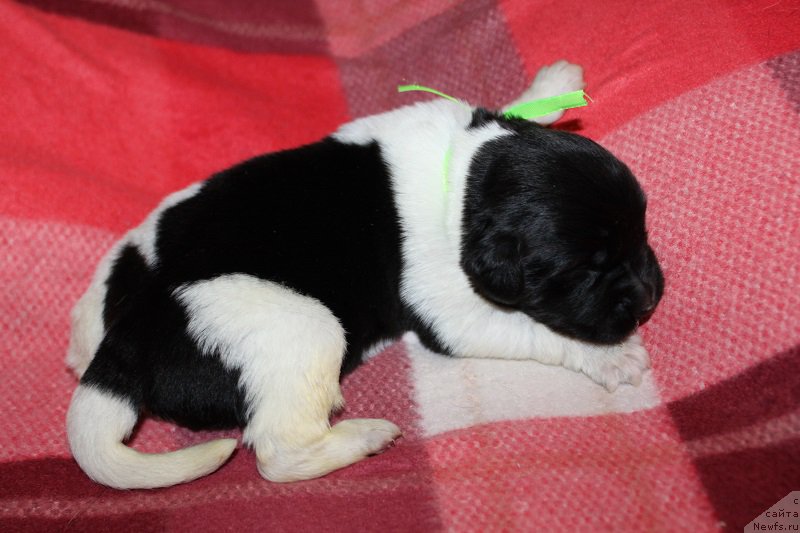 Фотография № 220136