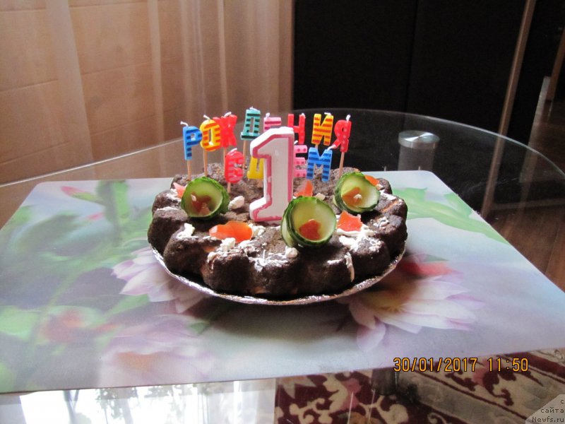 Фотография № 220144