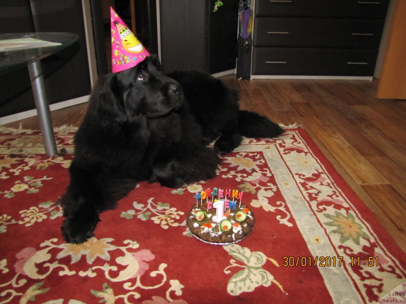 Фотография № 220145