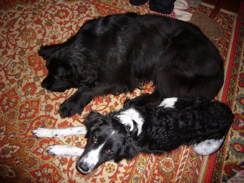 Фото: Vera Goncharova (Вера Гончарова)