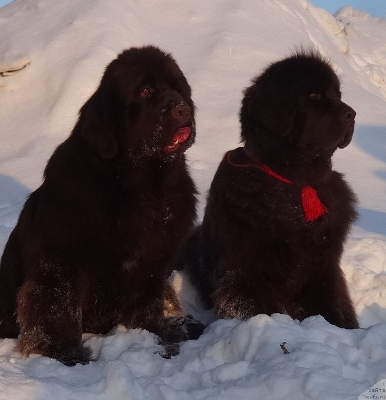 Фотография № 220173