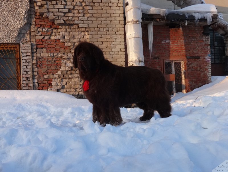 Фотография № 220177