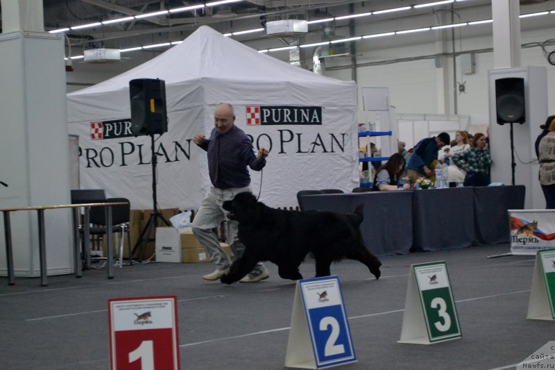 Фотография № 220181