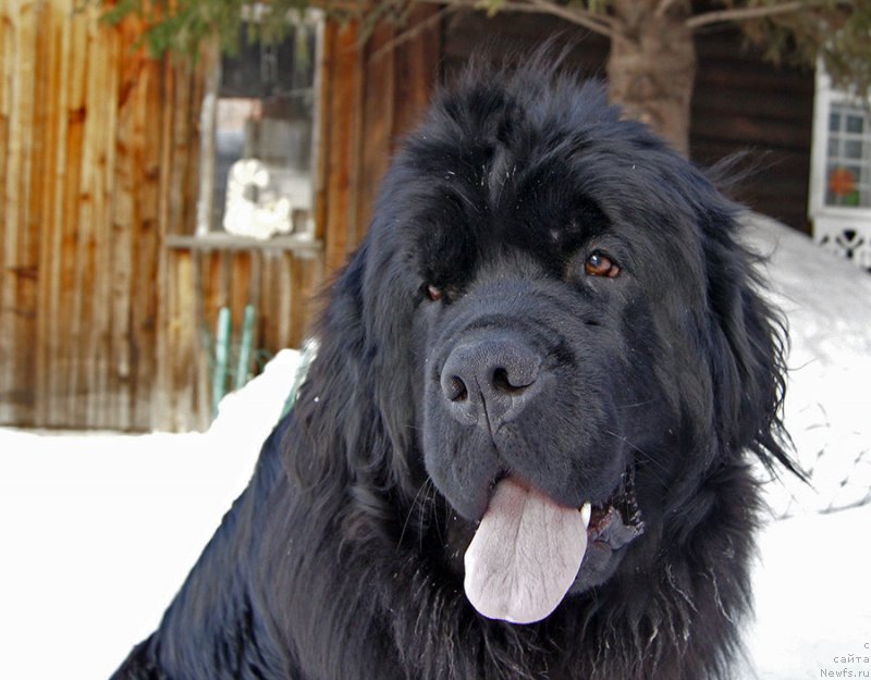 Фотография № 220203