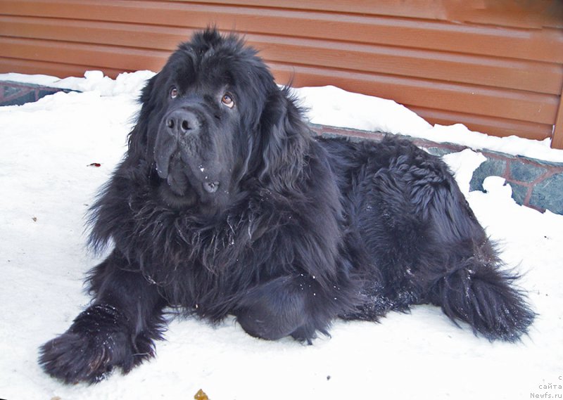 Фотография № 220205