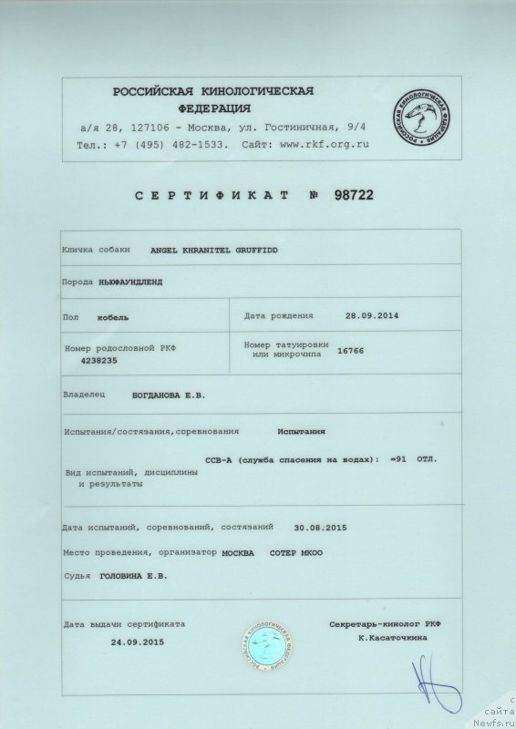 Фото: ньюфаундленд Angel Khranitel Gruffidd (Ангел Хранитель Граффидд)