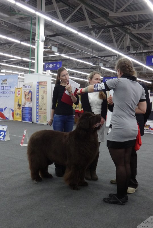 Фотография № 220222