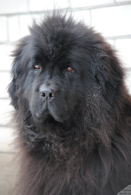 Фотография № 220225