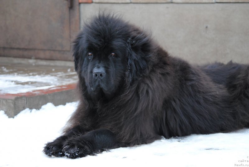 Фотография № 220227